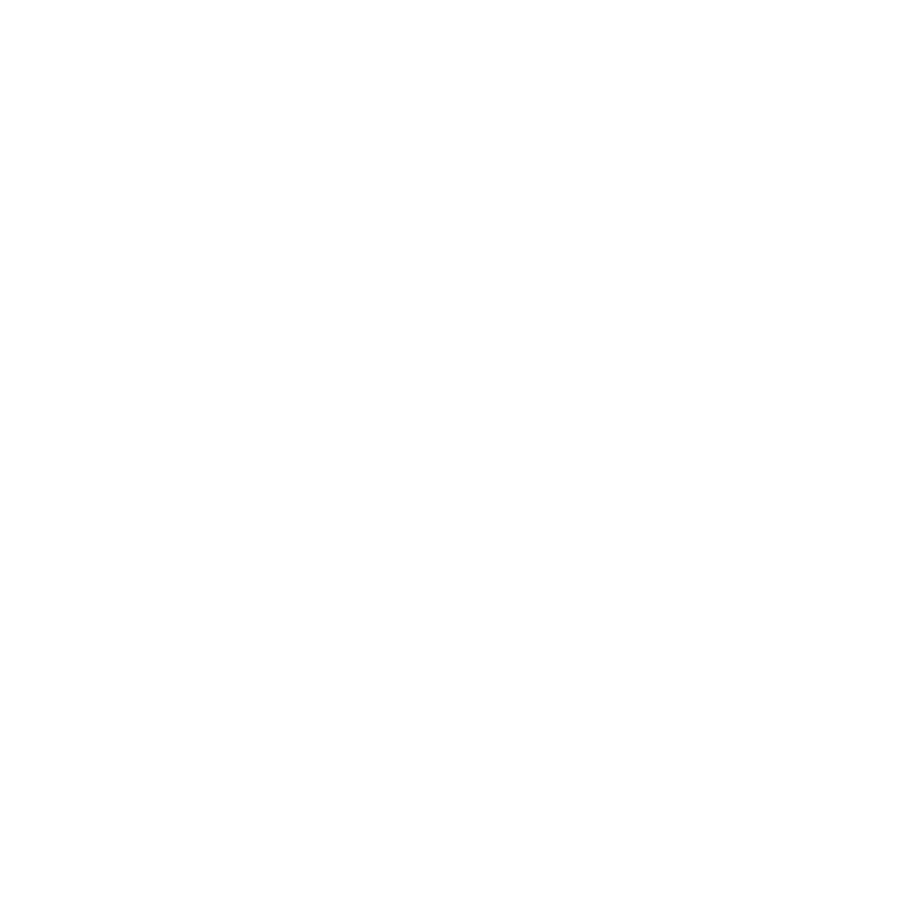 vidium logo